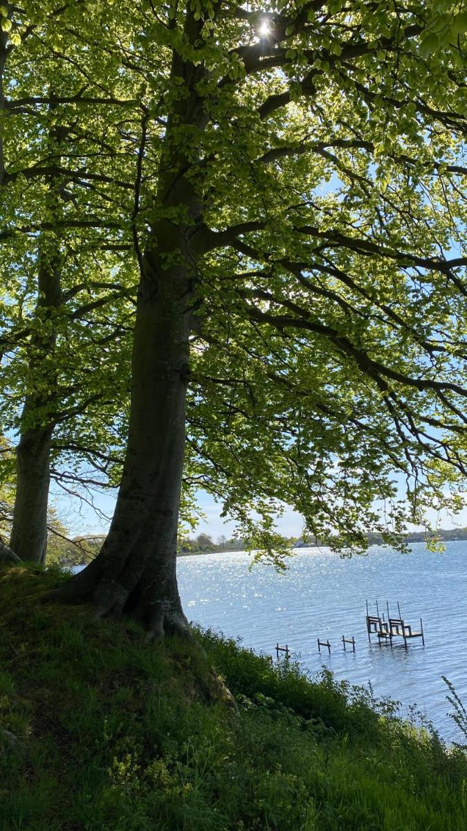 Huset i Hejls - Housity