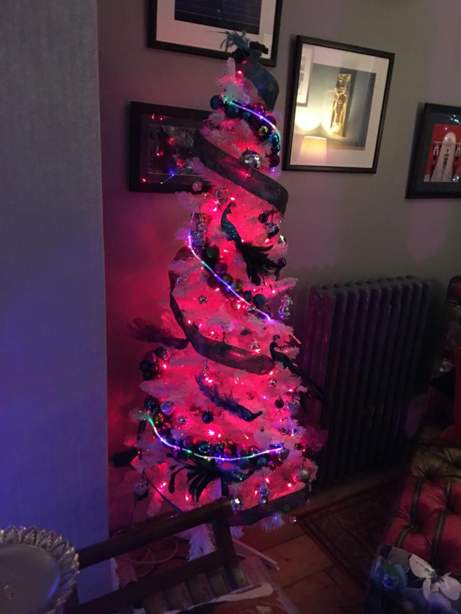 The Old Tea House - Housity