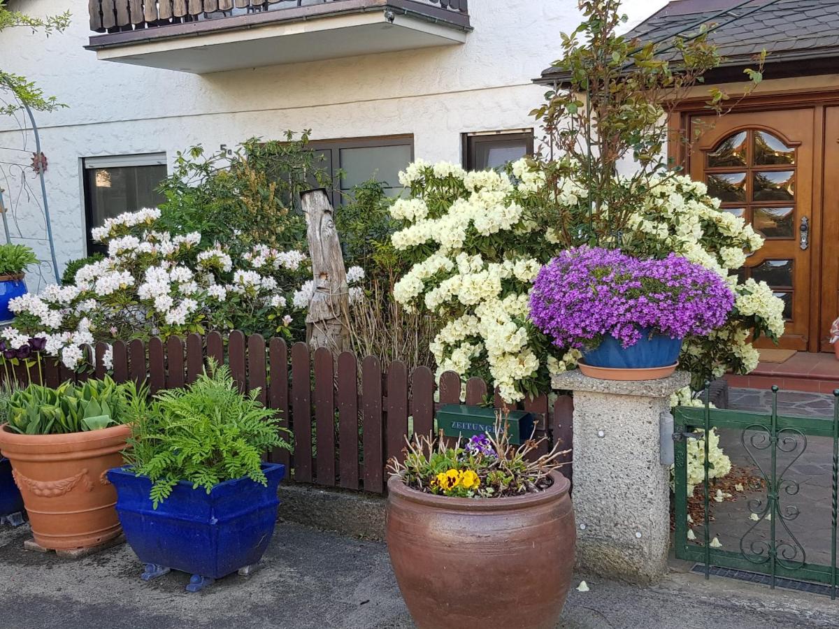 Feriendomizil Sell - Housity