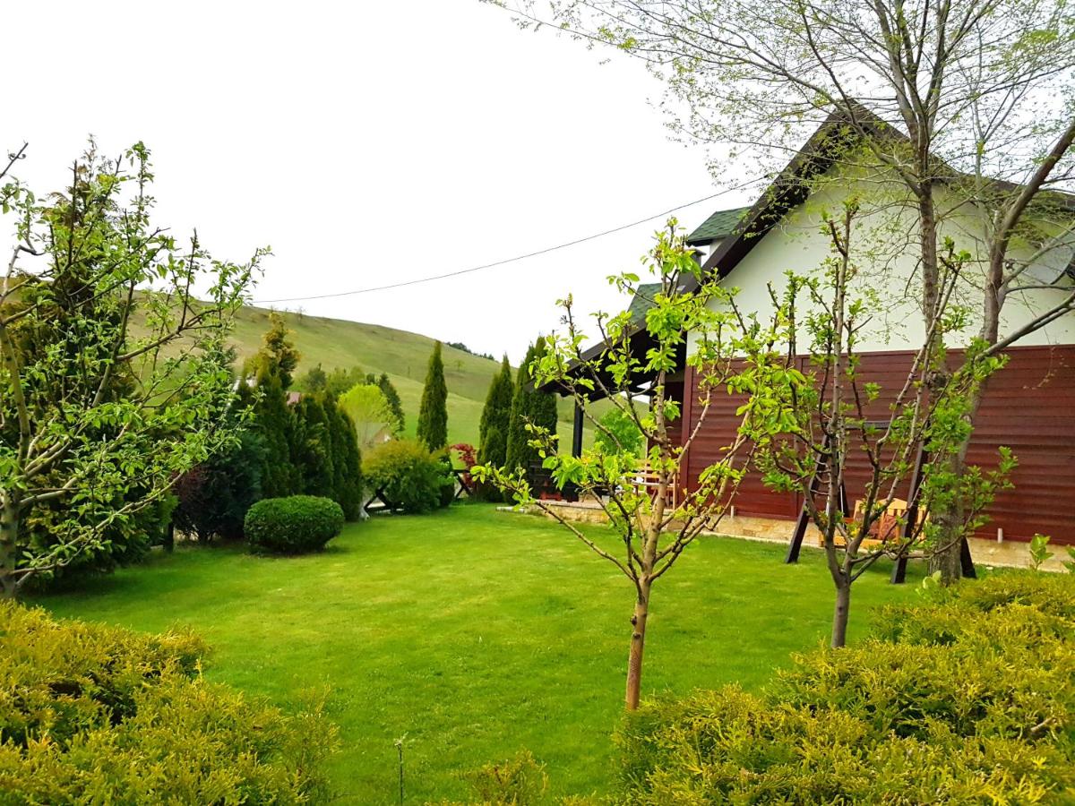 Apartments Hill House Zlatibor - Housity