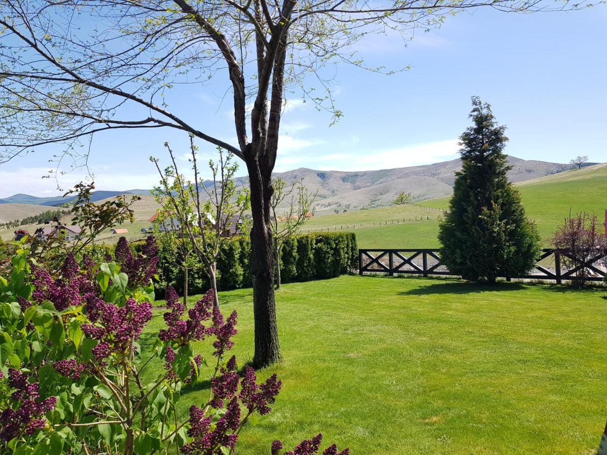 Apartments Hill House Zlatibor - Housity