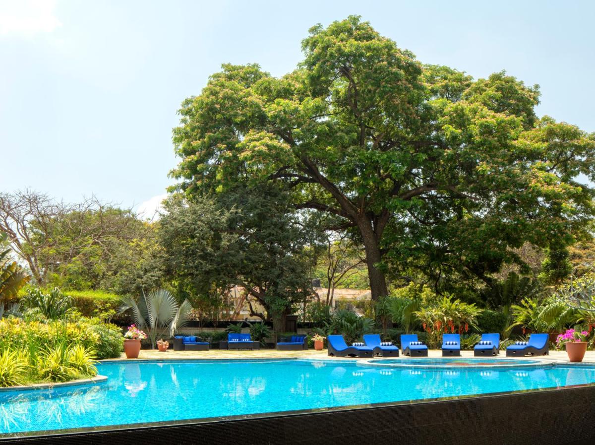 a swimming pool with chairs and a tree at Radisson Blu Plaza Hotel Mysore in Mysore