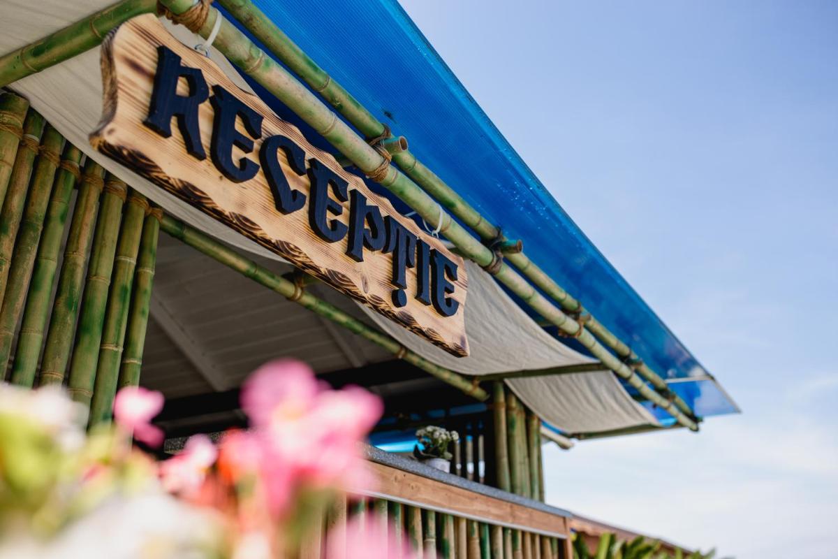 Casute Sebastian Baile Figa - Housity