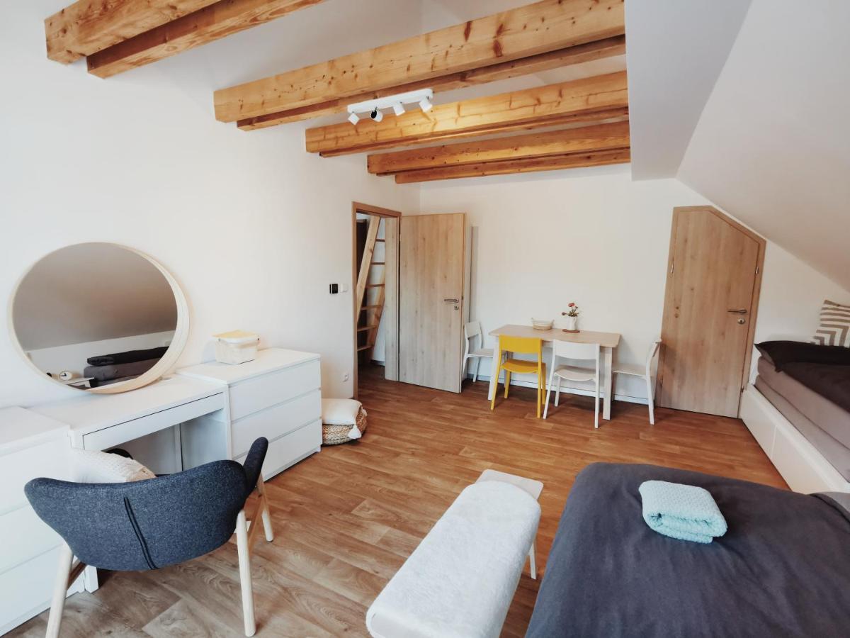 Apartmán v podkroví - Housity
