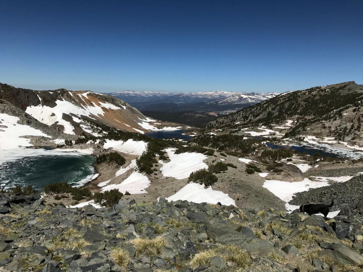 Mountainback #37, Den - Housity
