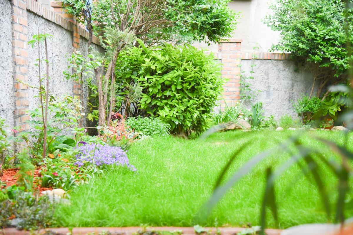 Agape Apartman - Housity