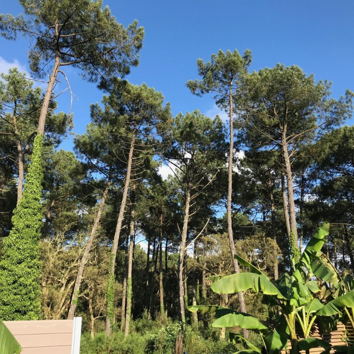 Villa patio terrasse privative océan 10 min a pied - Housity