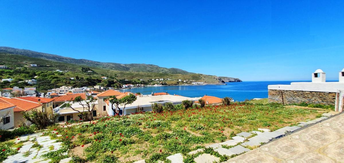 Andros Apartment - Lasia - Housity