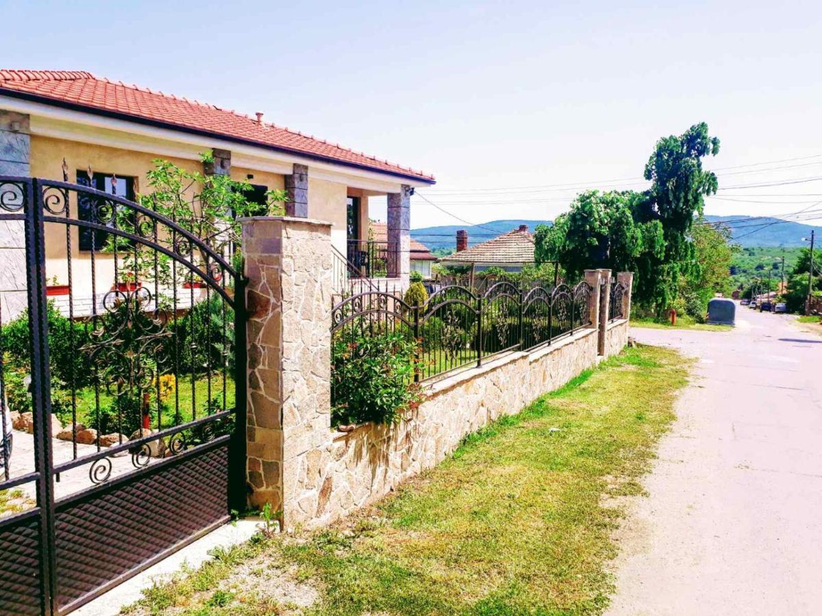 Aleksandar House - Housity