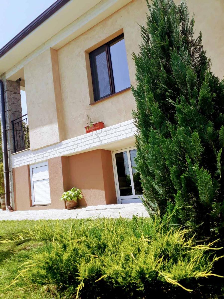 Aleksandar House - Housity