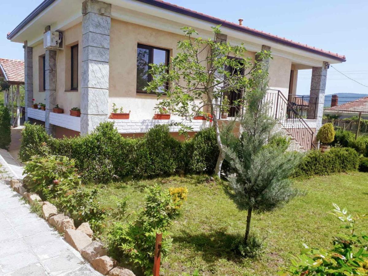Aleksandar House - Housity