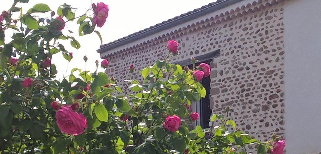 Ô Joly Valois - Housity