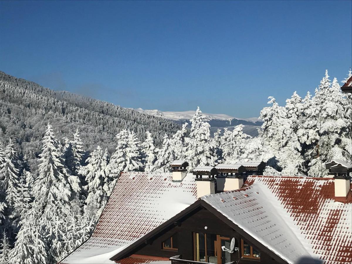 Borovets Hills Apartments - Evergreen Suite - Hizvo