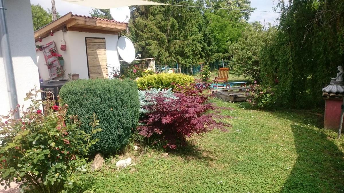 Vendég kuckó - Housity