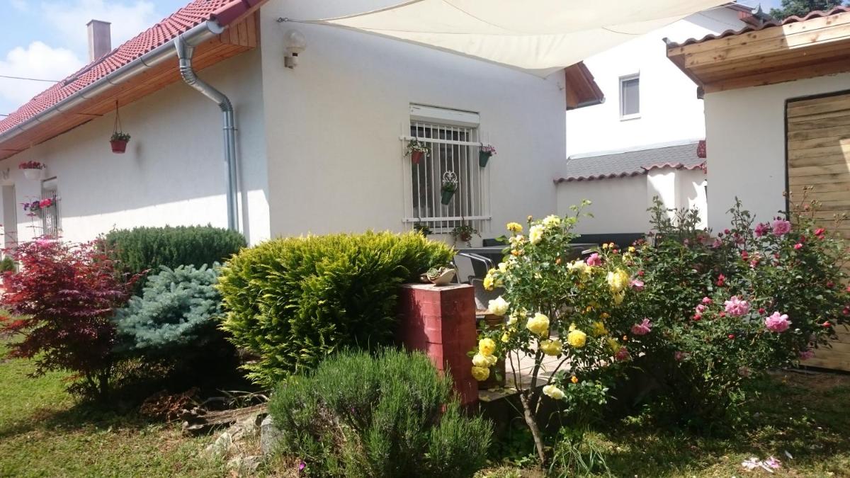 Vendég kuckó - Housity
