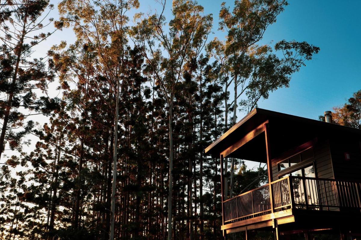 Rainforest Gardens - Luxury Hillside Accomodation with Views to Bay & Islands - Housity