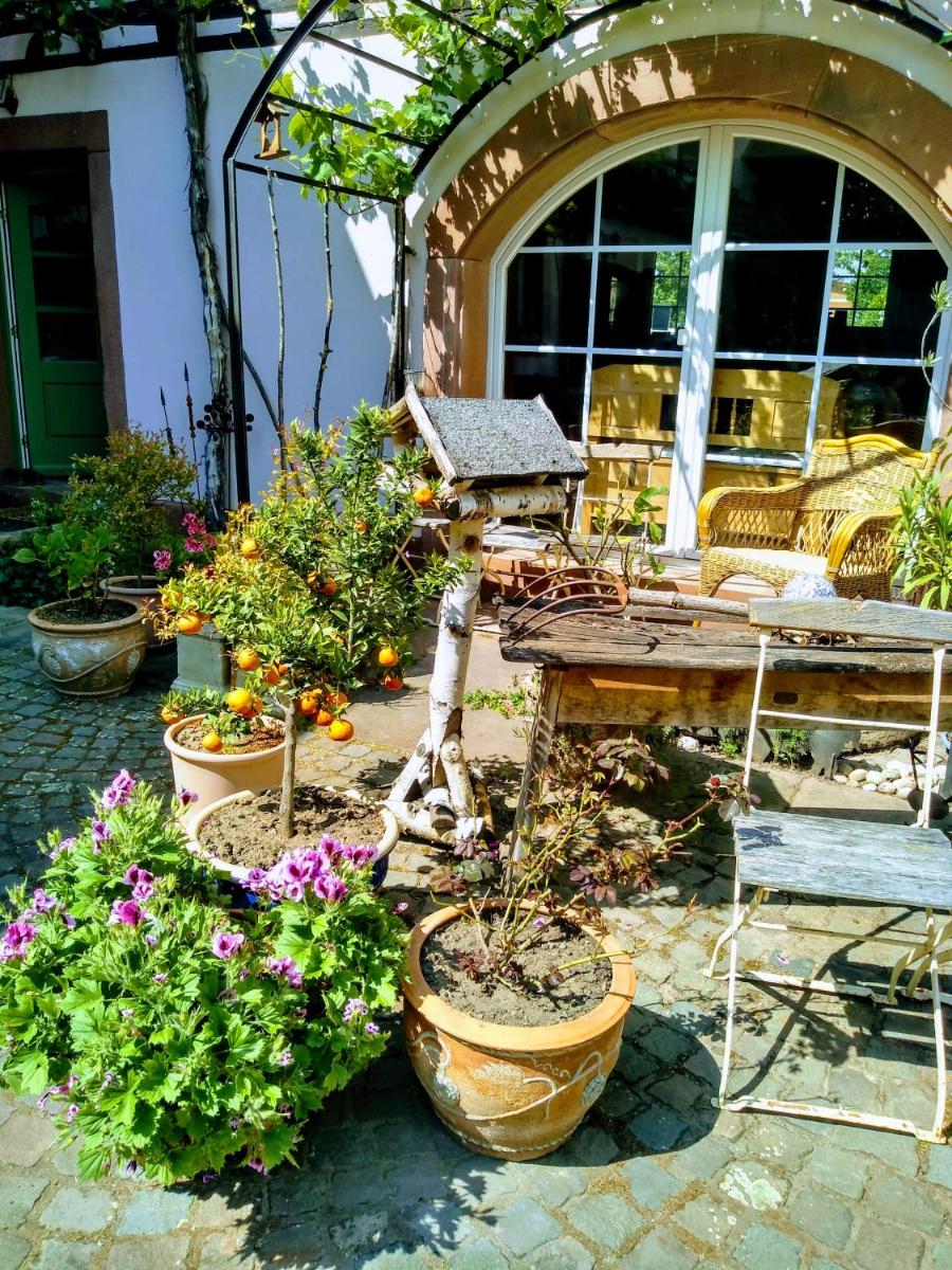 Willkommen in unserem kleinen Paradies - Housity