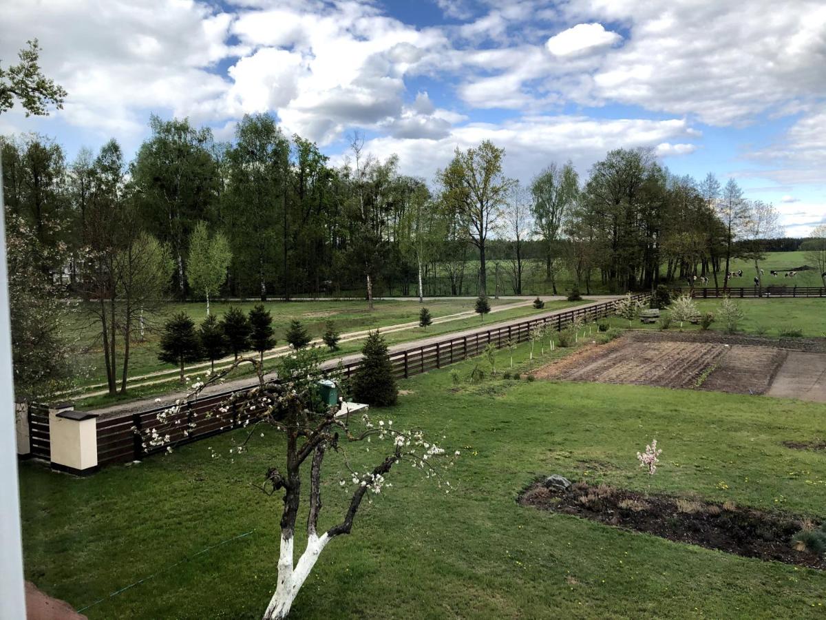 Gospodarstwo Agroturystyczne u Kubziniaka - Housity