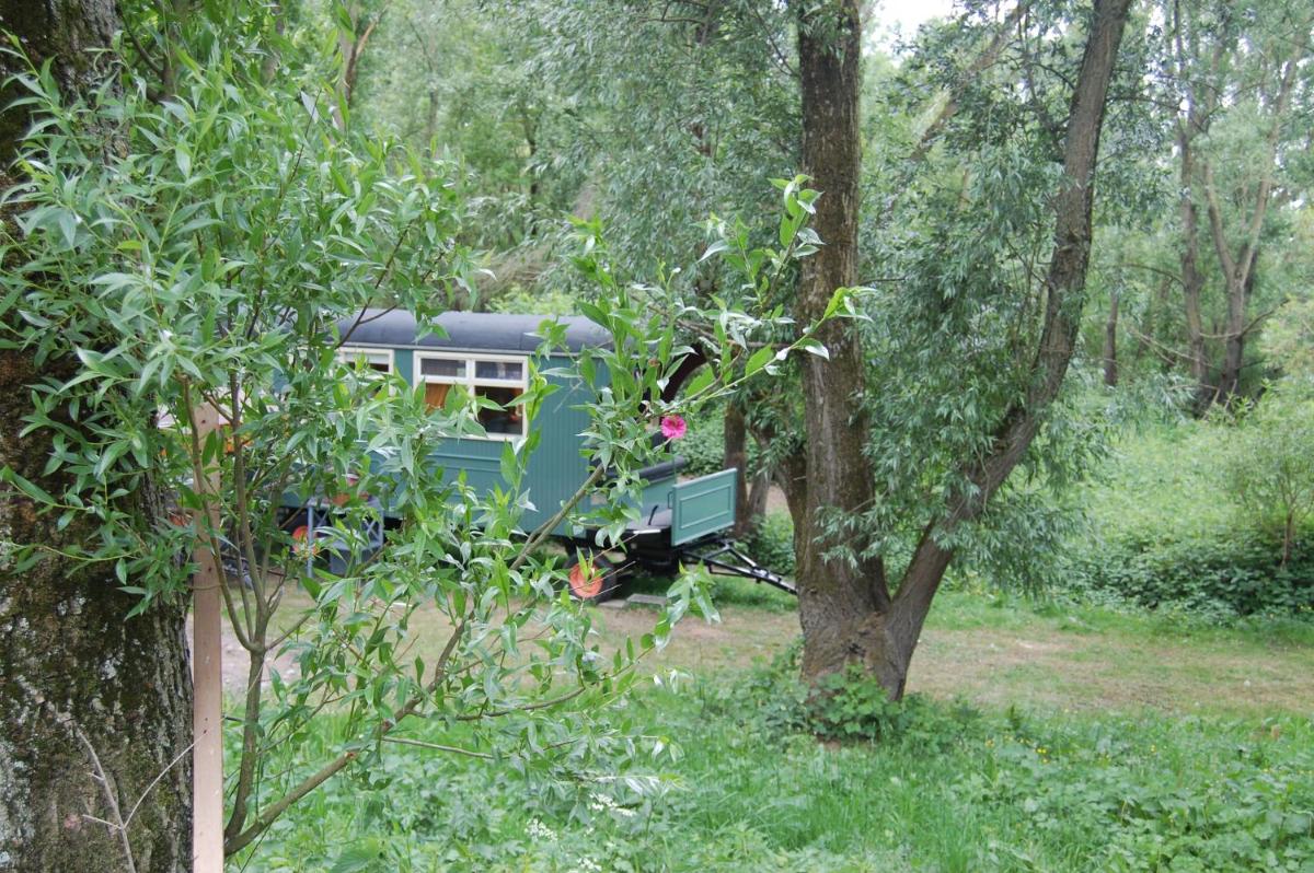 pipowagen/paardentram - Housity