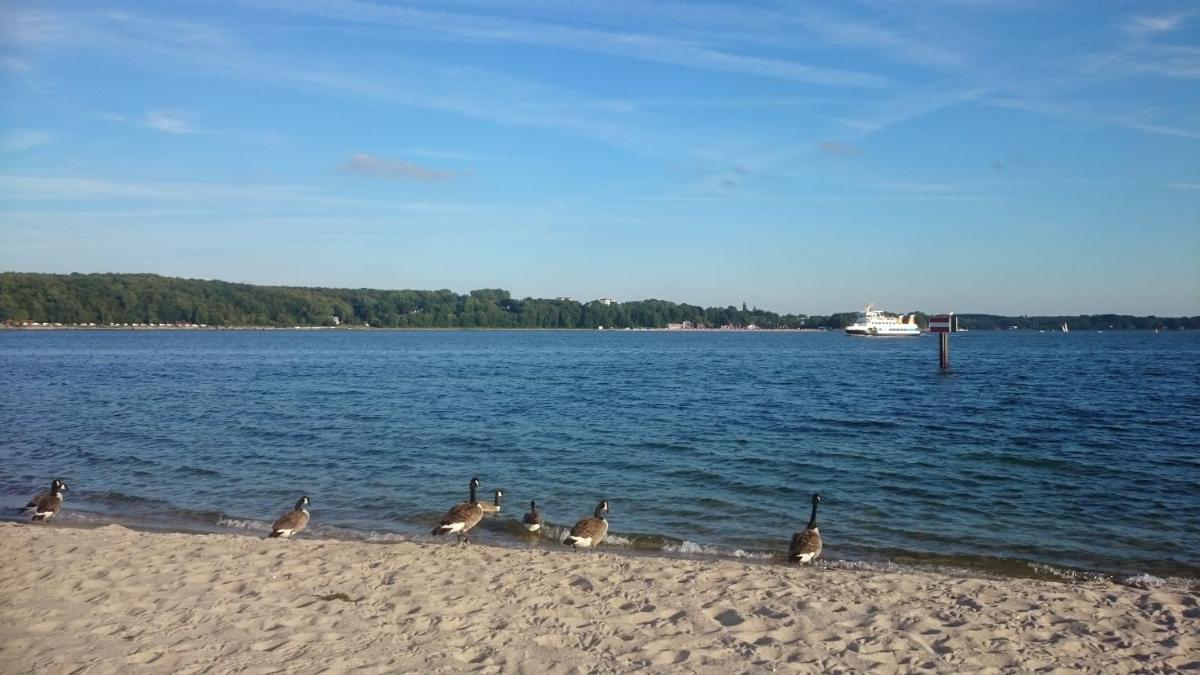 Öko-Ferienwohnung-Kiel Silbermöwe - Housity