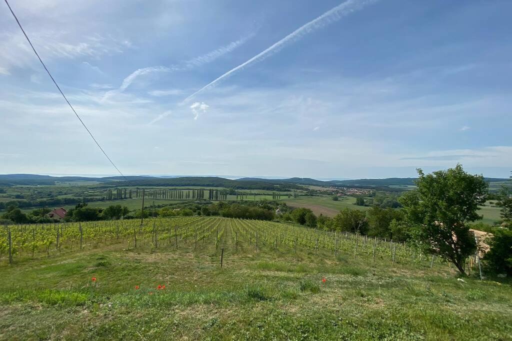 Présház a hegytetőn - Housity