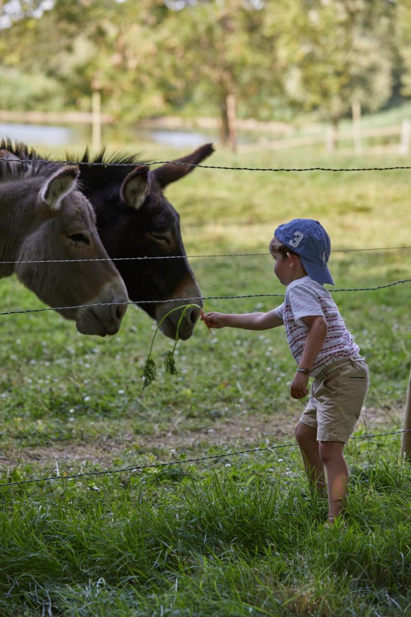 Animaux dans l'hôtel ou à proximité