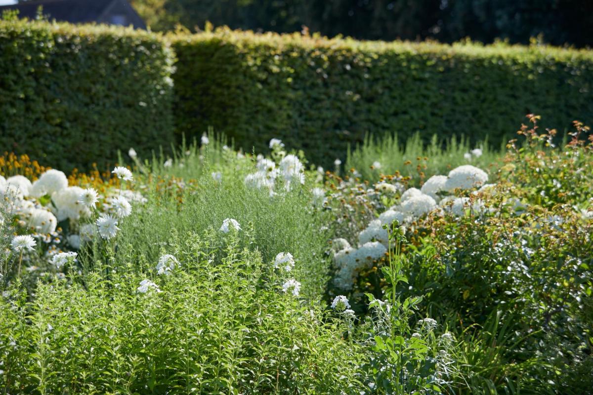 Jardin de l'établissement Chateau d'Audrieu
