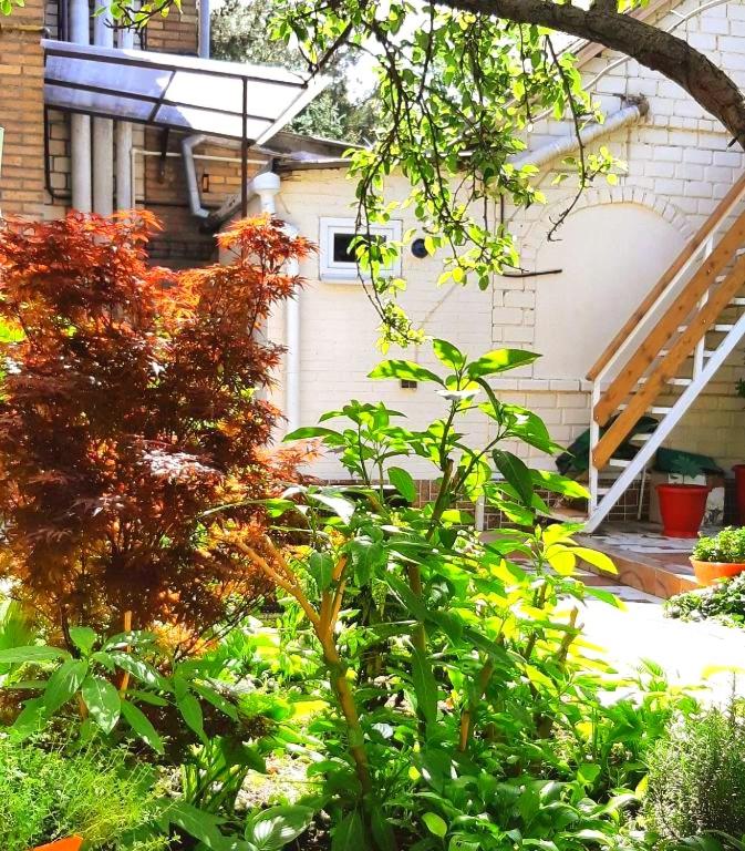 Cottage Natalya - Housity