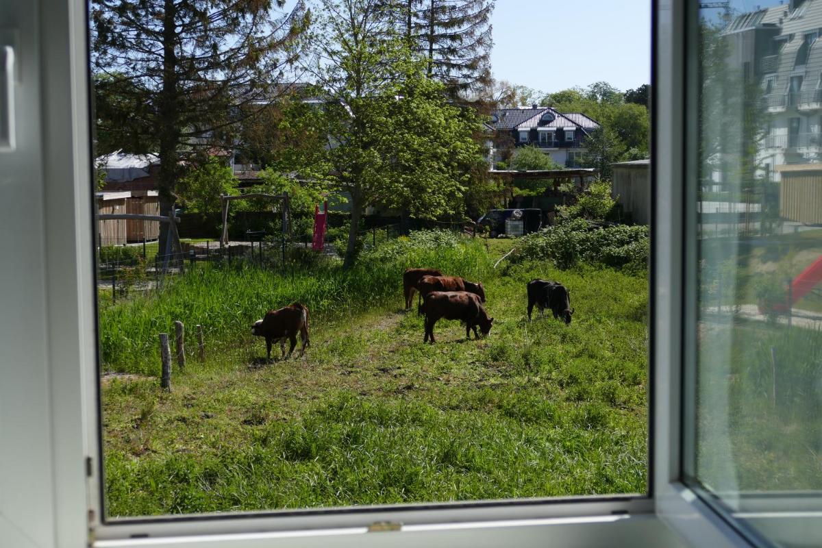 Landhaus Dreesen - Housity