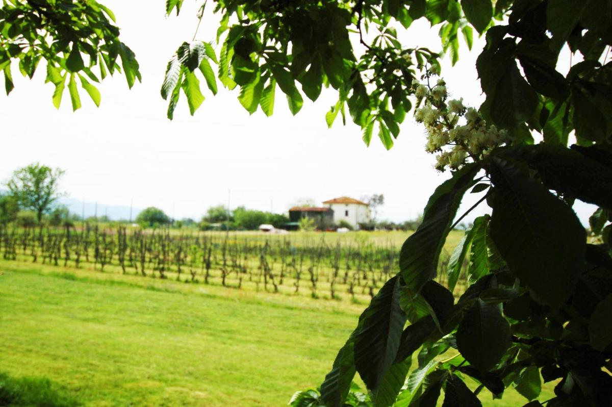 La Ginestra - Housity