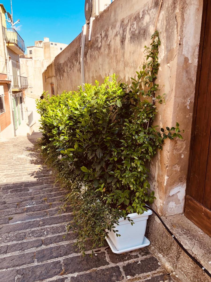 Suitetrails - A casa da Anita