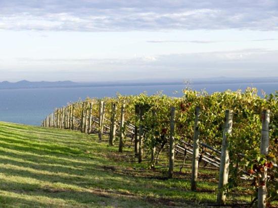 Geelong Serviced Apartments by Short & Long Stays - Housity