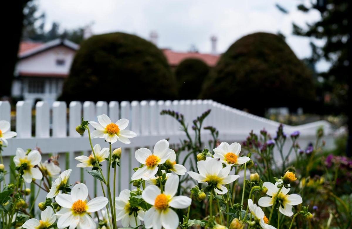 a white fence with white flowers in front of it at Savoy - IHCL SeleQtions in Ooty