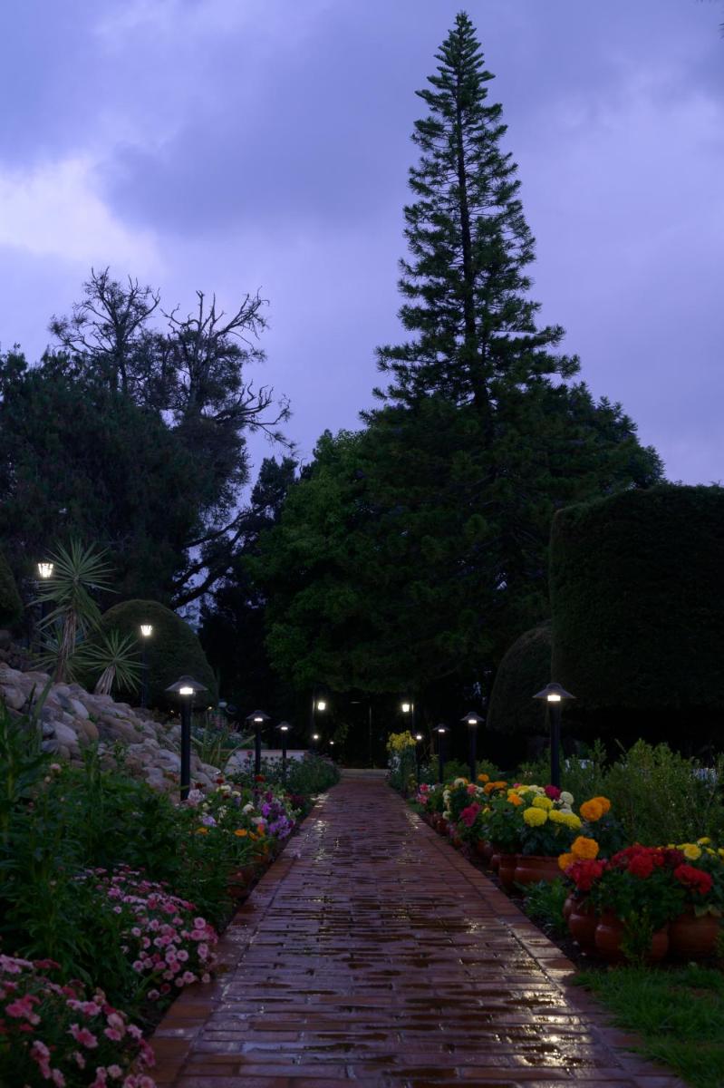 a walkway with flowers and a tree in a park at Savoy - IHCL SeleQtions in Ooty