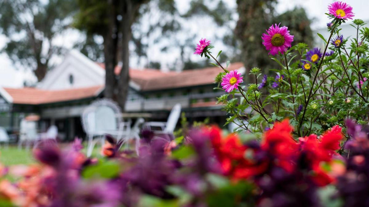 a group of flowers in front of a house at Savoy - IHCL SeleQtions in Ooty