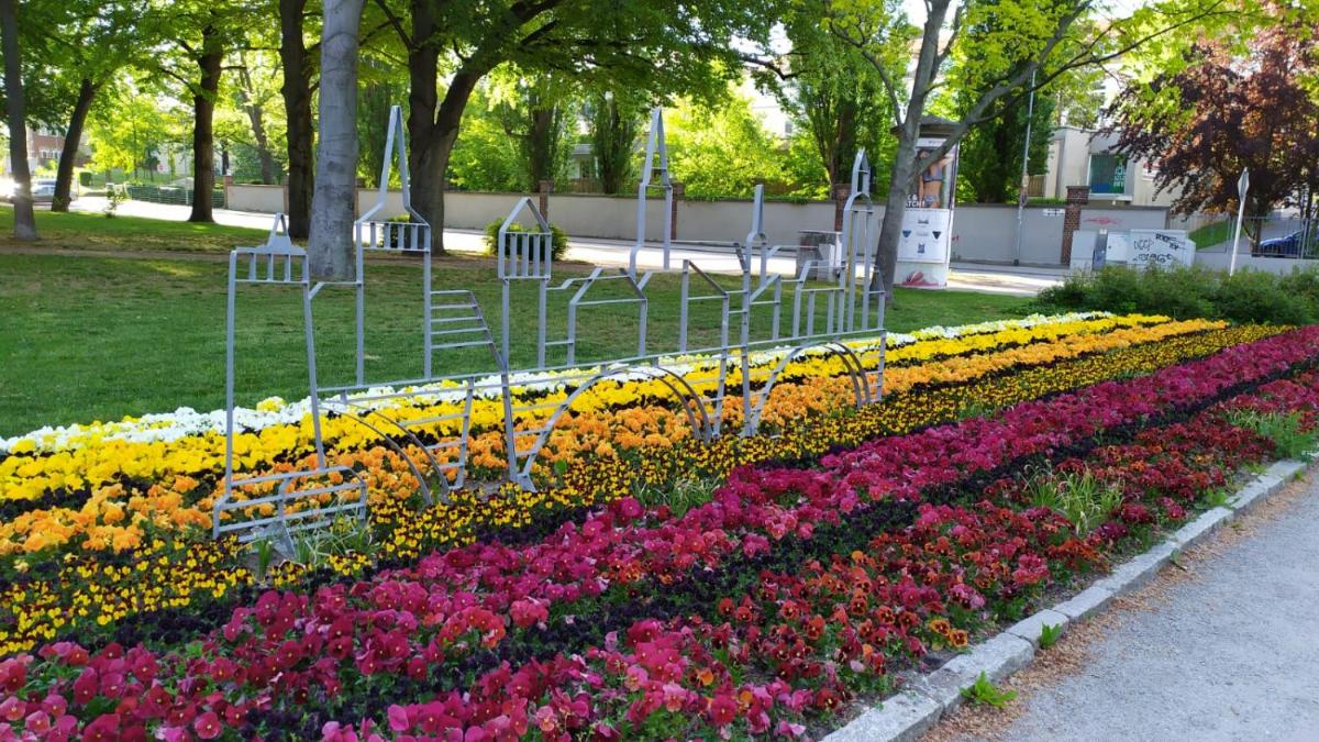 alte Bäckerei Bautzen - 02 #Senior# im Zentrum, mit Parkplatz, Top Ausgestattet - Housity