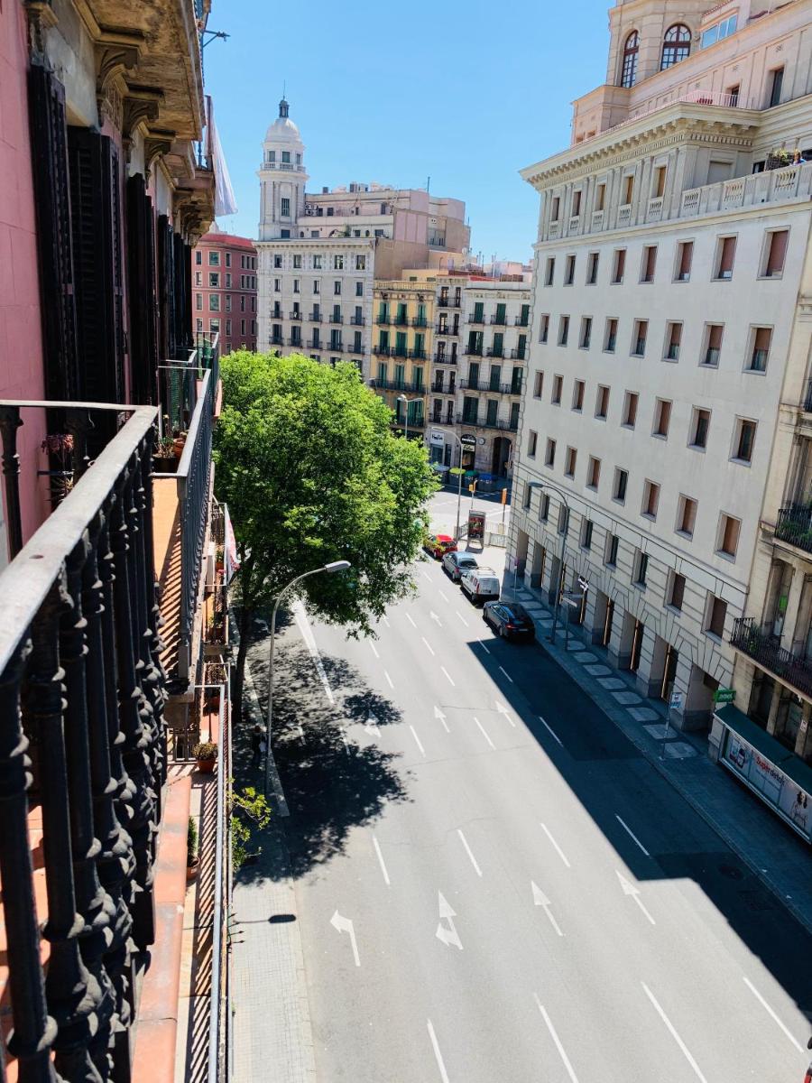 Super Balmes Guest House - Housity