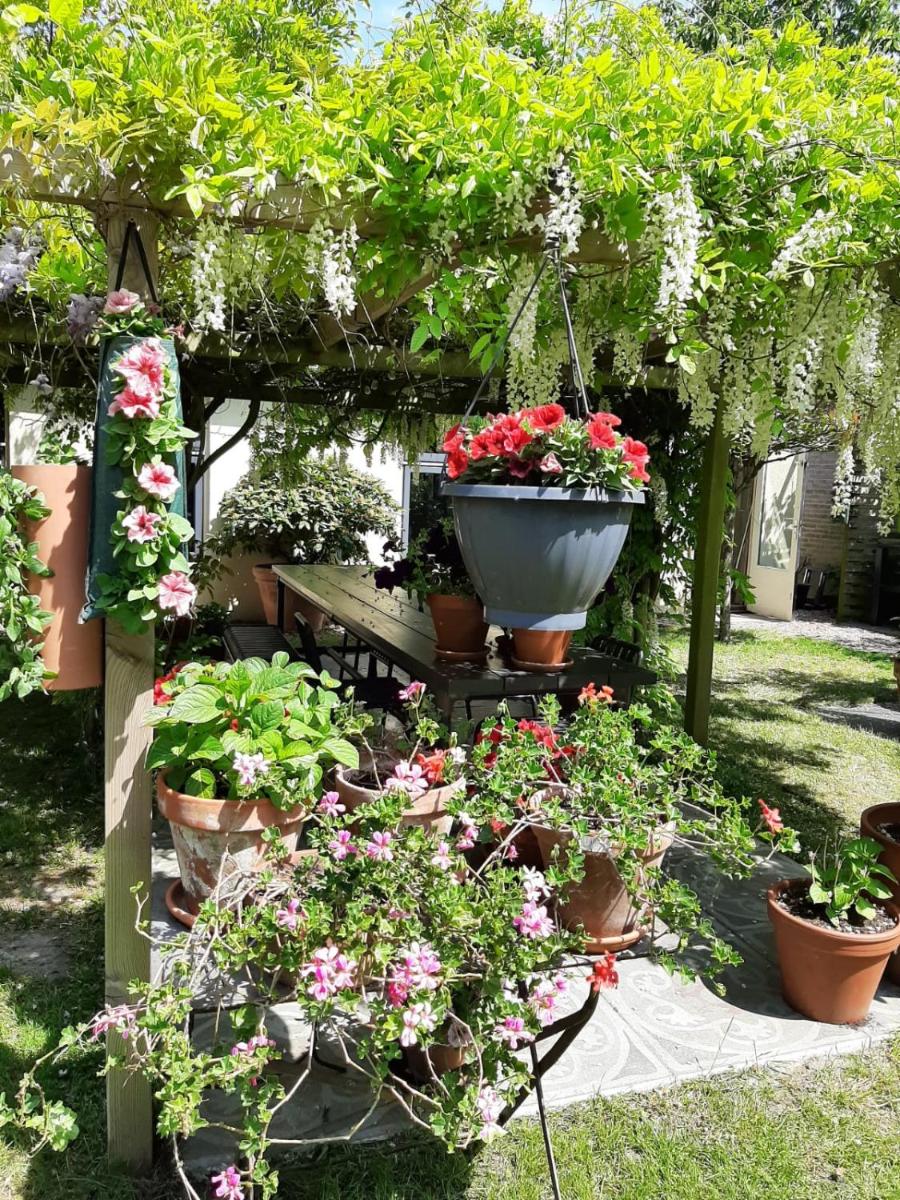 BedandBreakfast Casa Martina - Housity