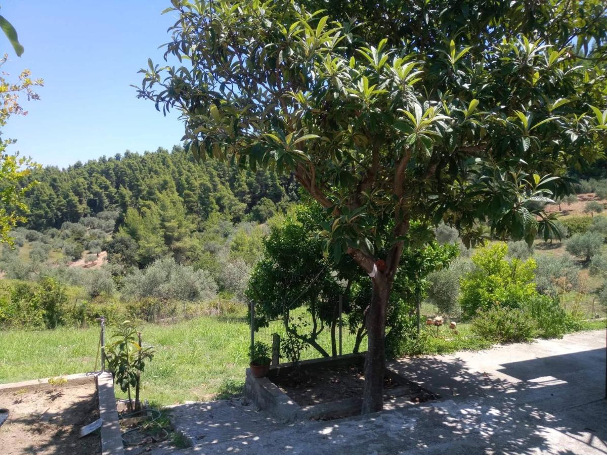 Wildherb House - Housity