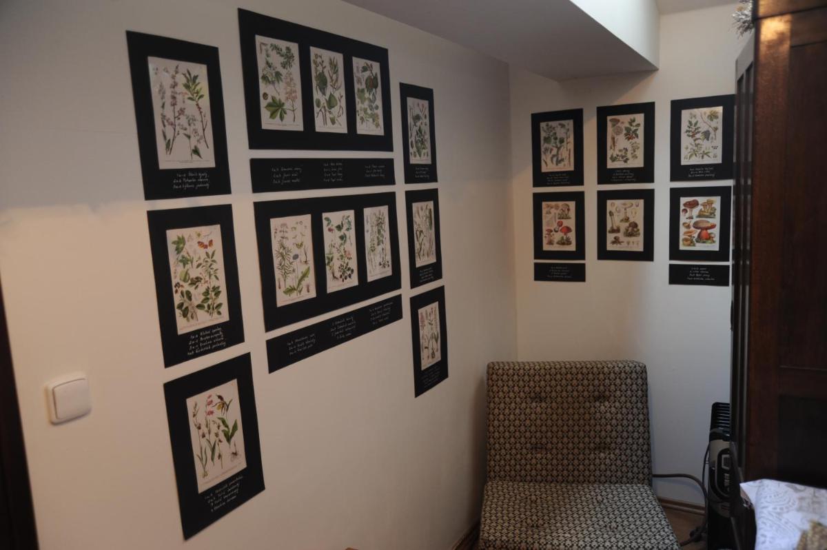 Apartmá v pivovaru Genius noci - Housity