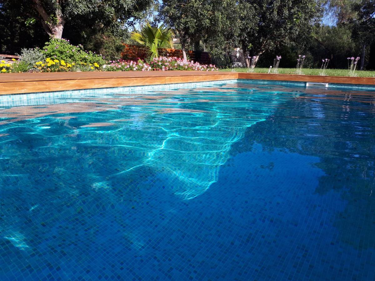 Quinta das Carpas - Housity