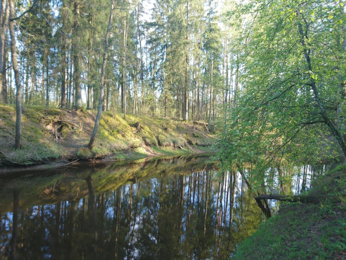 Līčupes - Housity