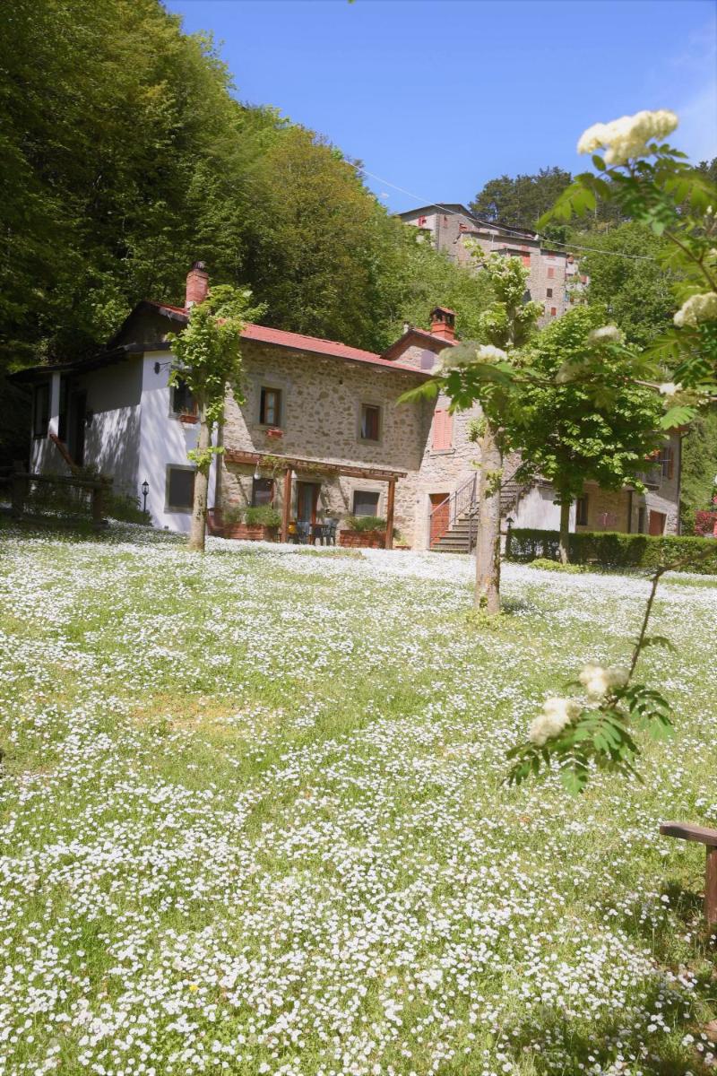 Il Molino Di Serravalle - Housity