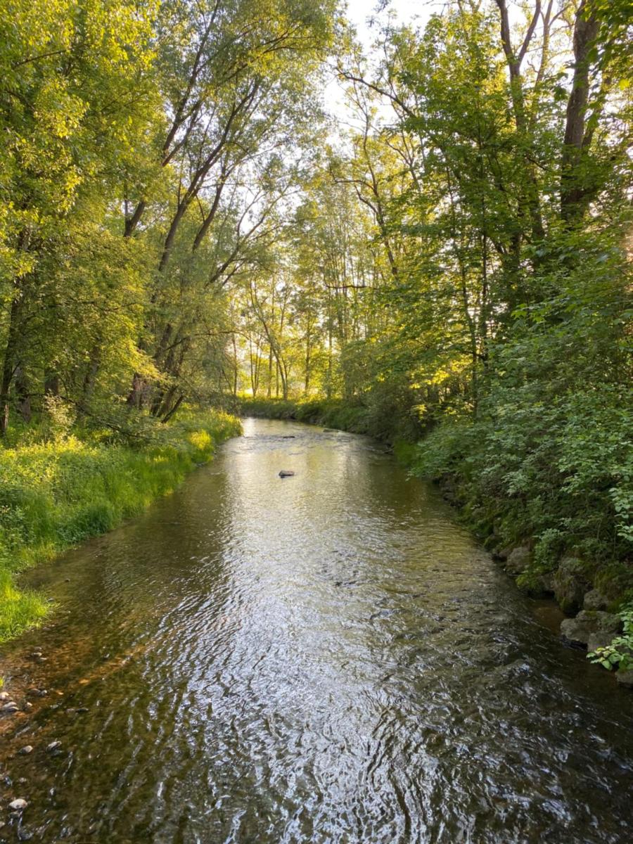 Ferienwohnung an der Aitrach - Housity