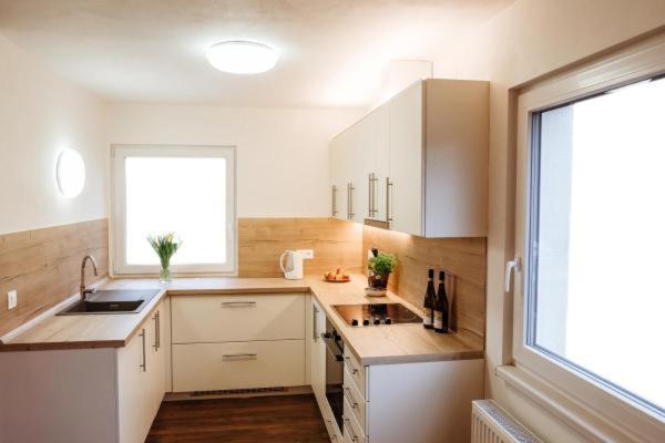 Sojka apartmány Jeseníky - Housity