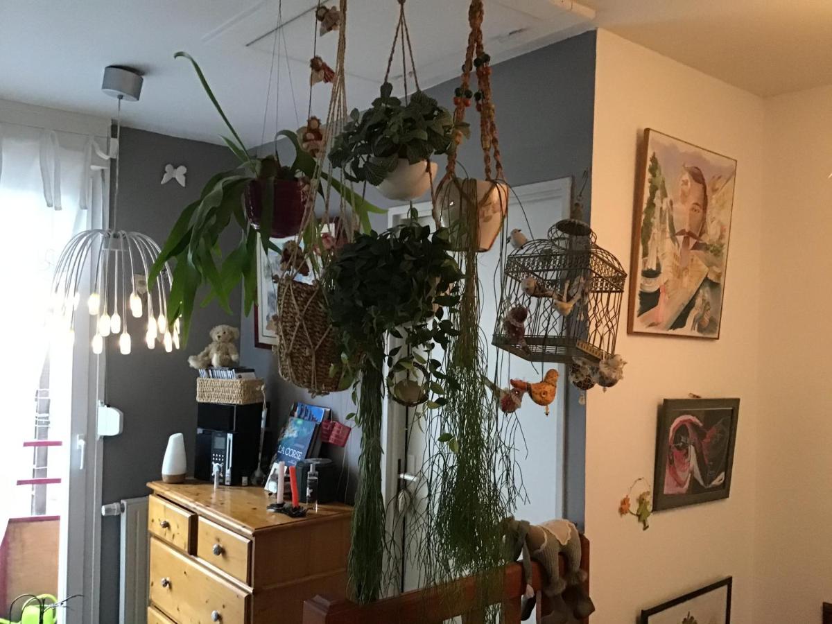 jolie maison - Housity