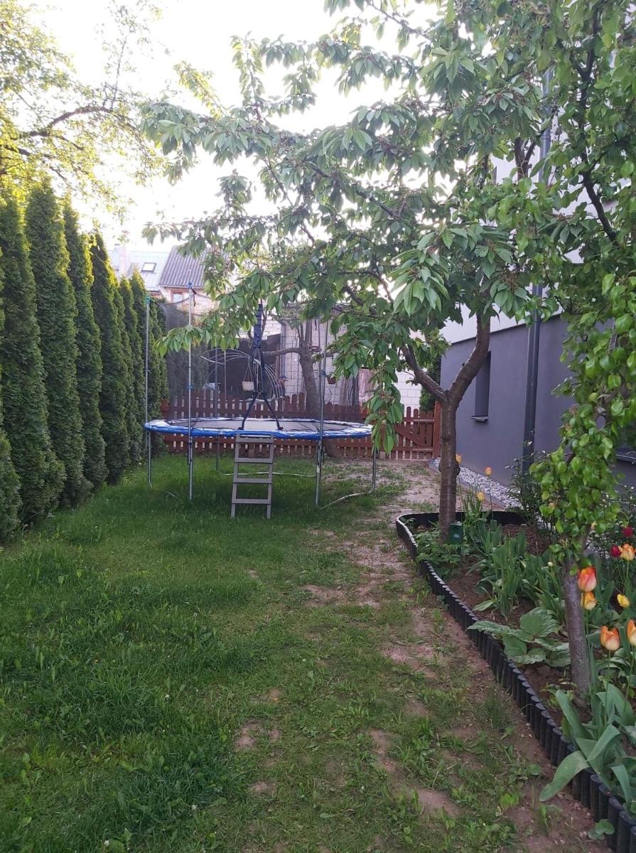 Apartament u Doroty - Housity