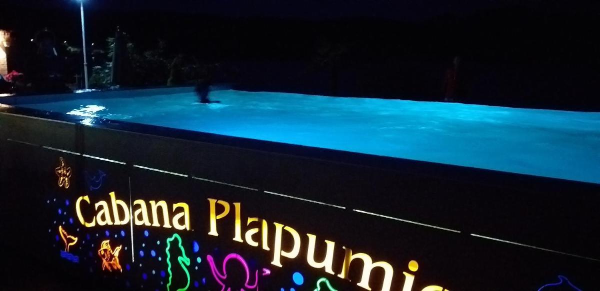 Cabana Plapumioara - Housity