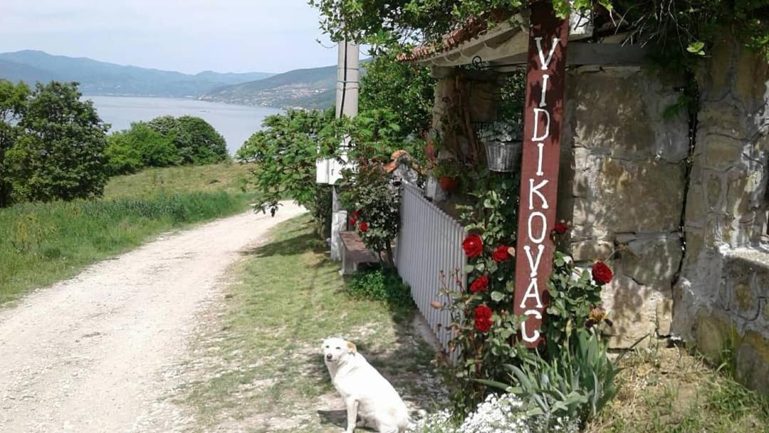 B&B Jonovic - Housity