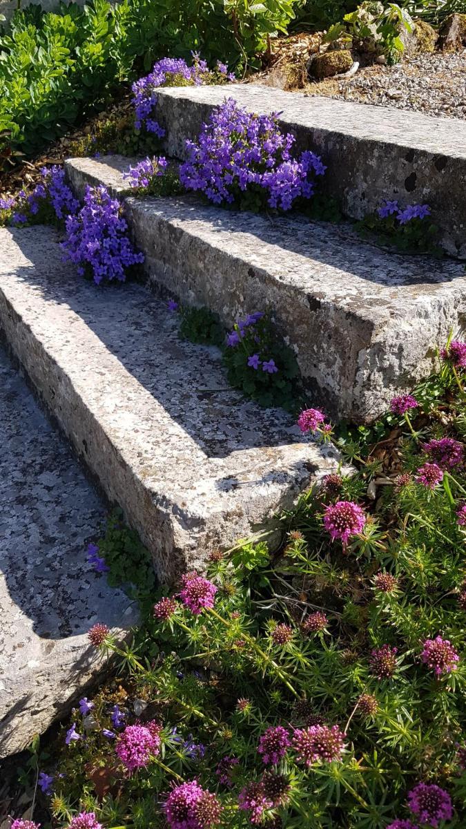 B&B au petit tambour d'Autingues - Housity